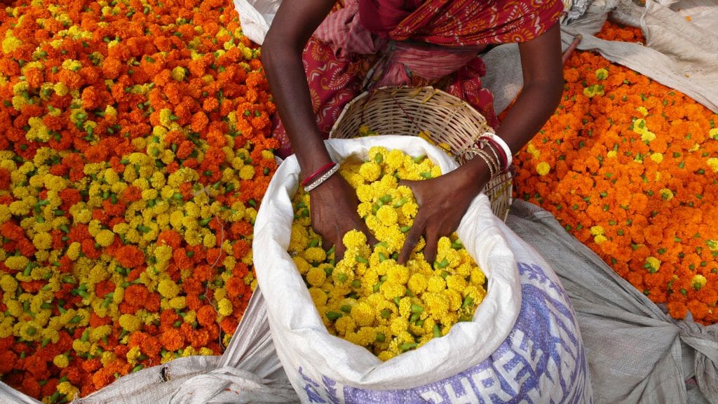 Flowers at Market, Calcutta, India