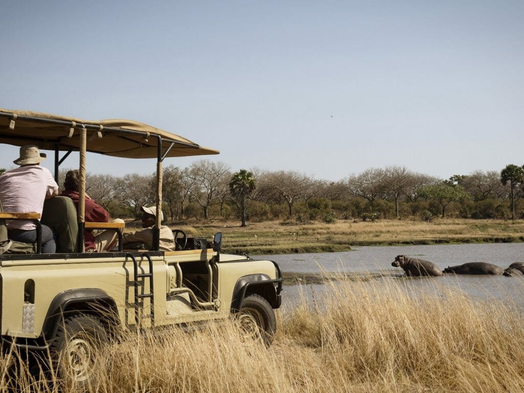 Game drive with hippos, Chada Katavi, Katavi National Park