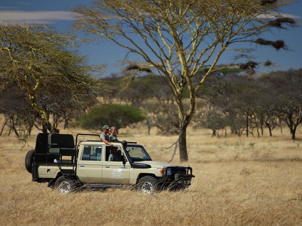 Game Drives, Mwiba Lodge, Serengeti National Park, Tanzania