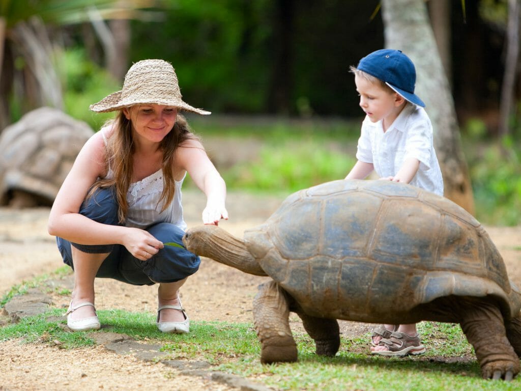 Giant Turtle and Children, Mauritius