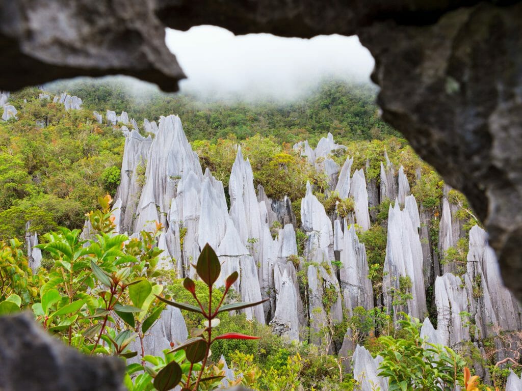 Limestone pinnacle formations at Gunung Mulu National Park