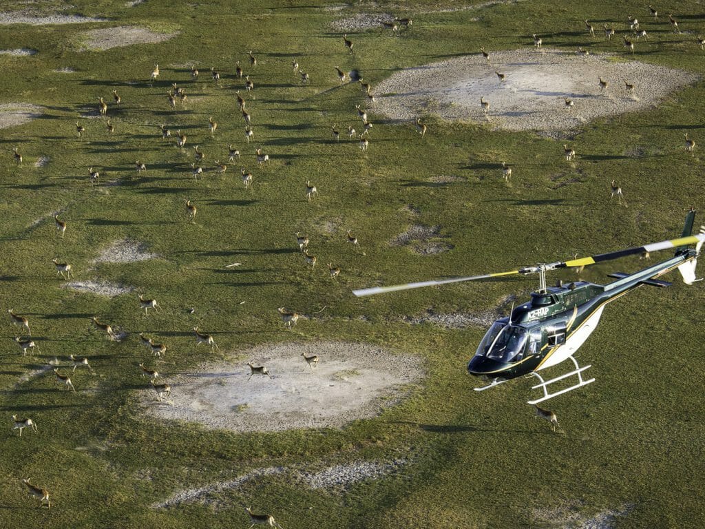 Helicopter, Heli safari, Botswana Safari, Helicopter Horizon