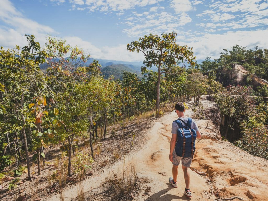 Person hiking through canyon above treeline.