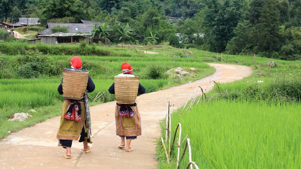 Hilltribe Women, Sapa, Vietnam