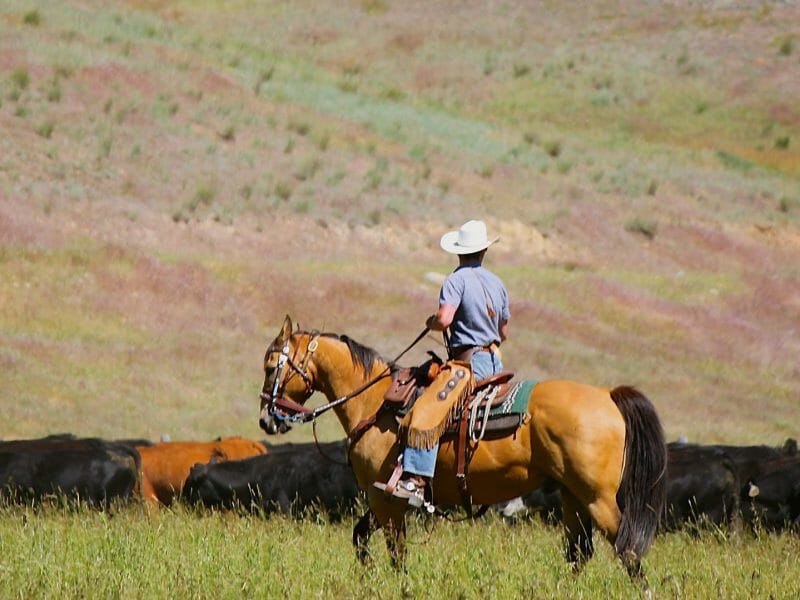 Horse ride, Triple Creek Ranch, Montana, USA