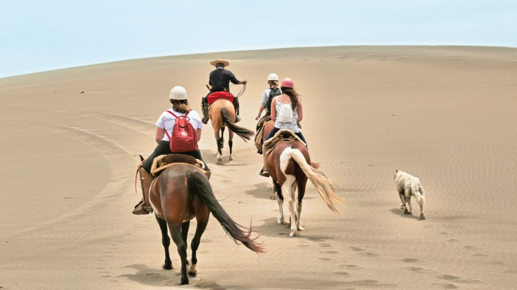 Desert Horseriding, Chile