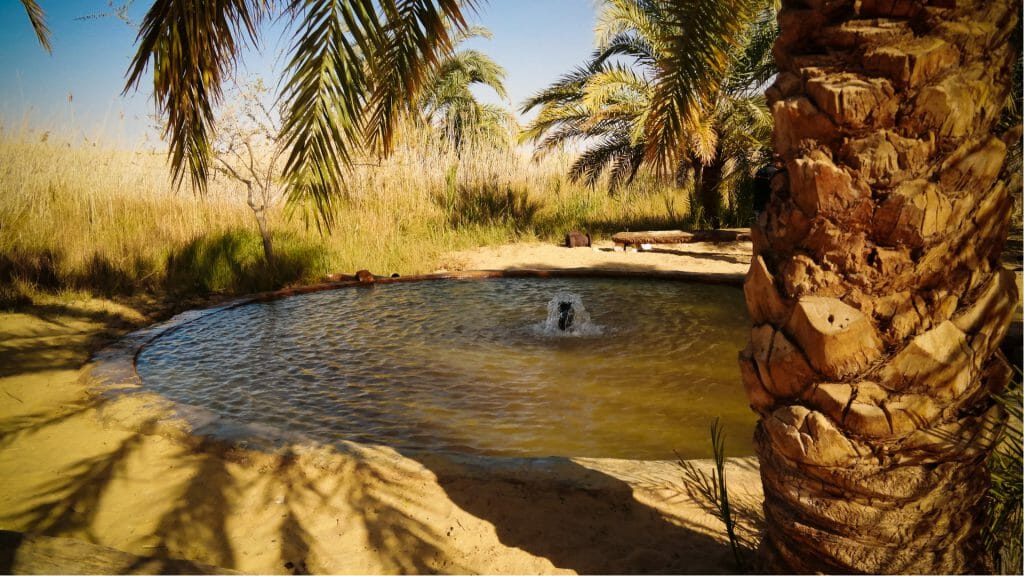 Hot Springs, Siwa Oasis, Egypt