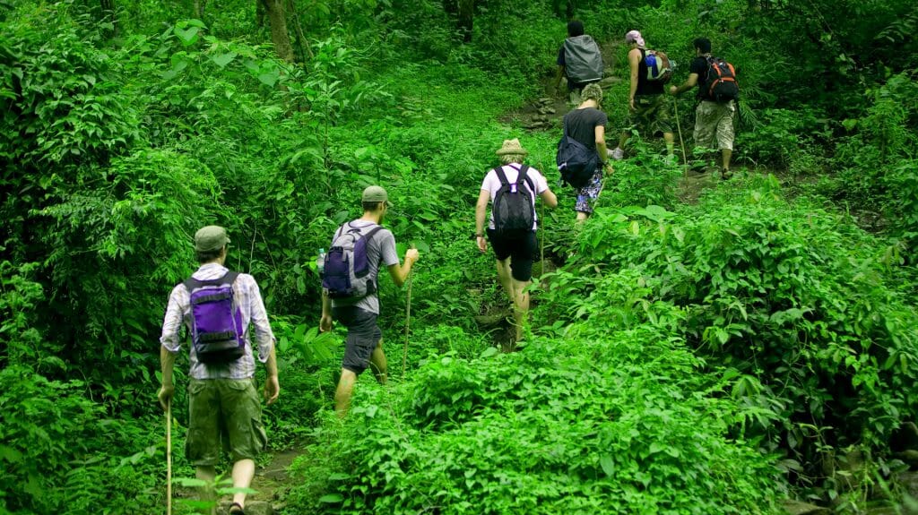 Jungle Trek, Bwindi Forest, Uganda