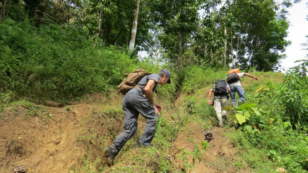 Jungle trek2, La Paloma Reserve, Colombia