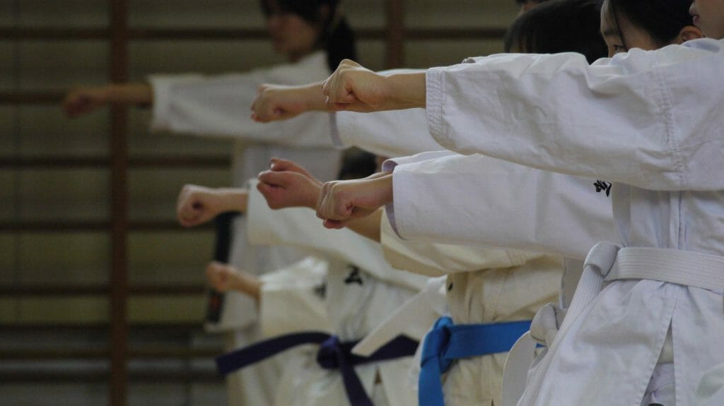Karate Lesson, Japan