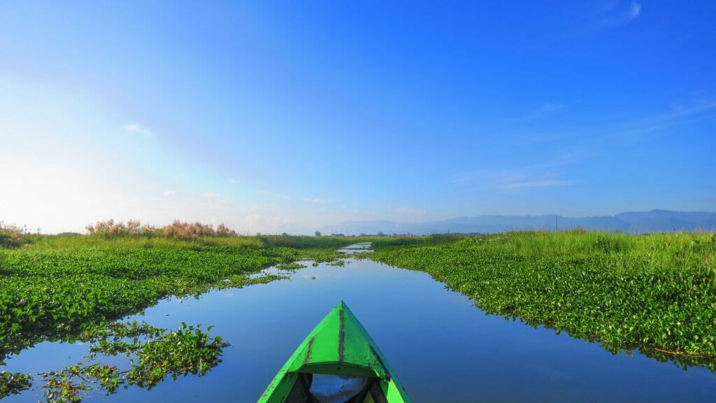 View from small green kayak towards river channel with lush green water farm on either side and bright blue sky.