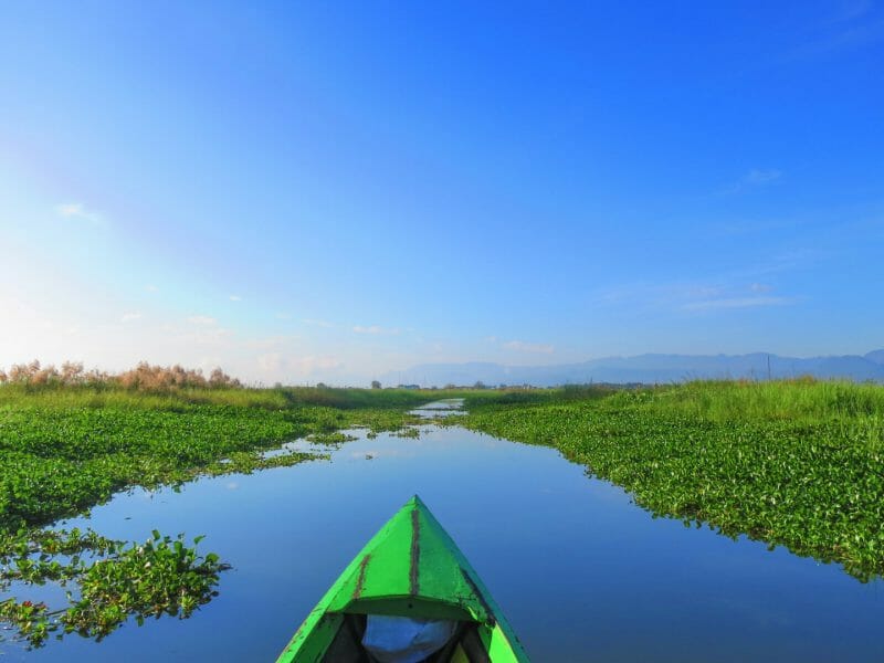 View from small green kayak towards river channel with lush green water farm on either side and bright blue sky.