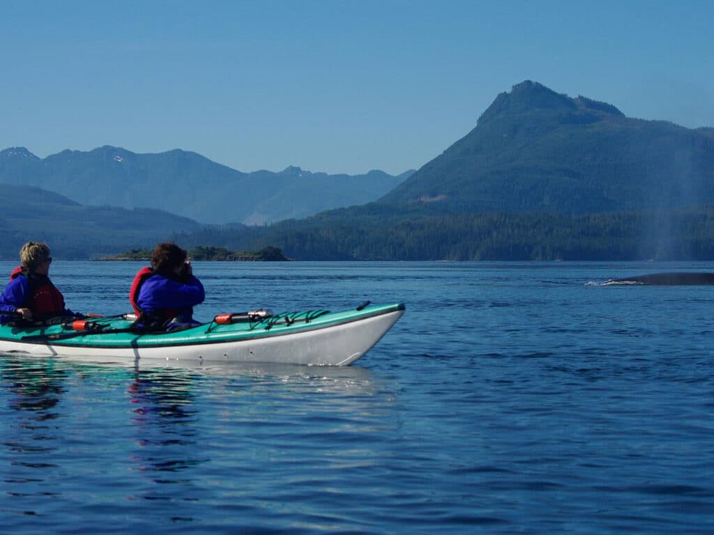 Kayaking with humpback whales, British Columbia, Canada