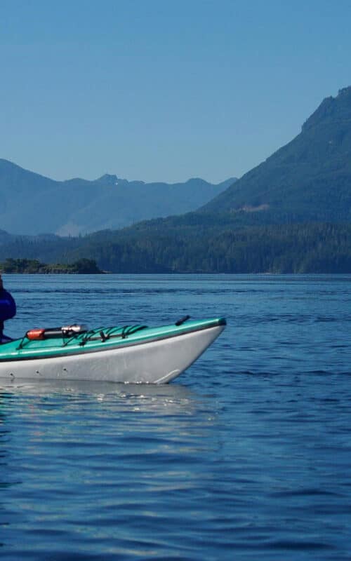 Kayaking with humpback whales, British Columbia, Canada