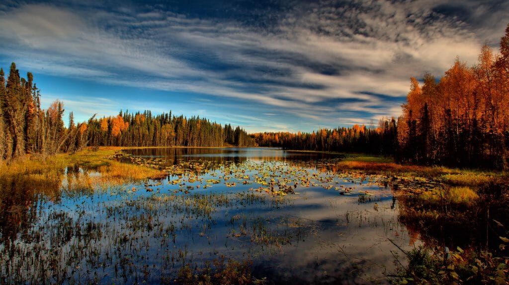 Kenai Peninsula, Alaska