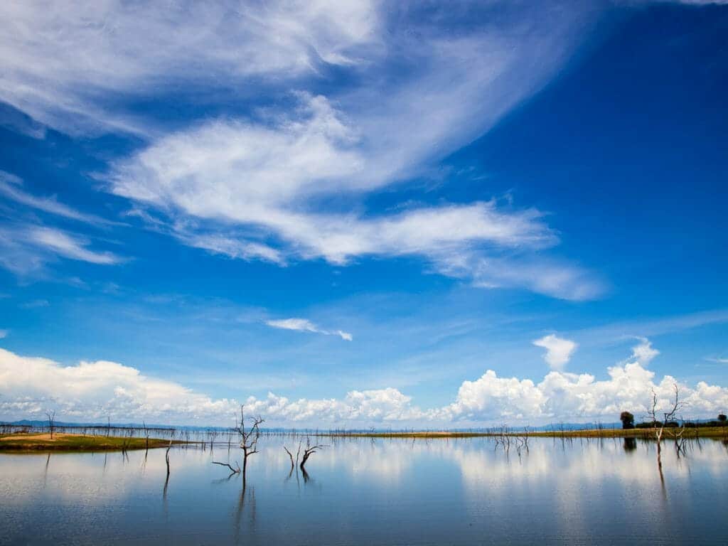 Lake Kariba, dead trees and sky reflection