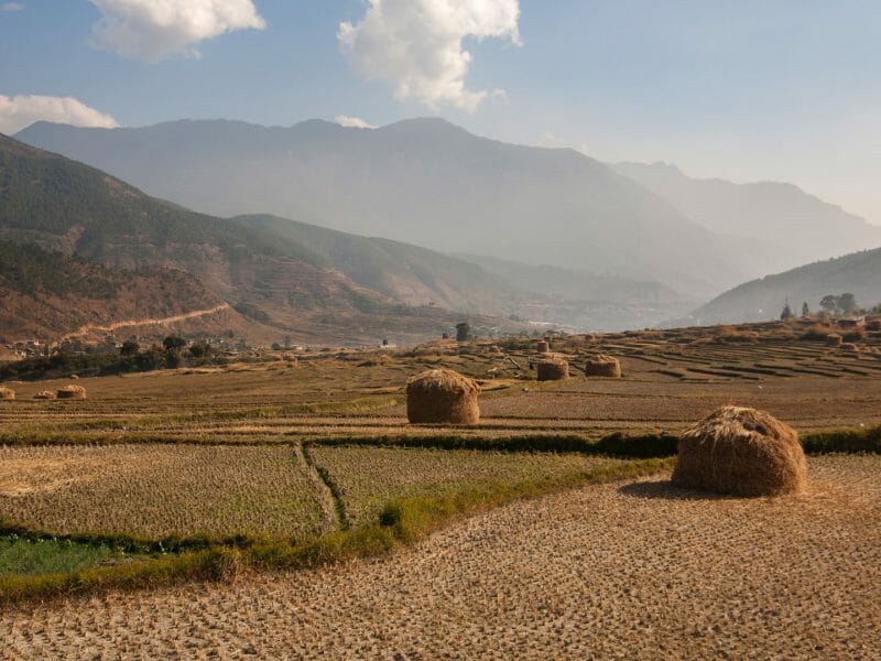 Landscape, Bhutan