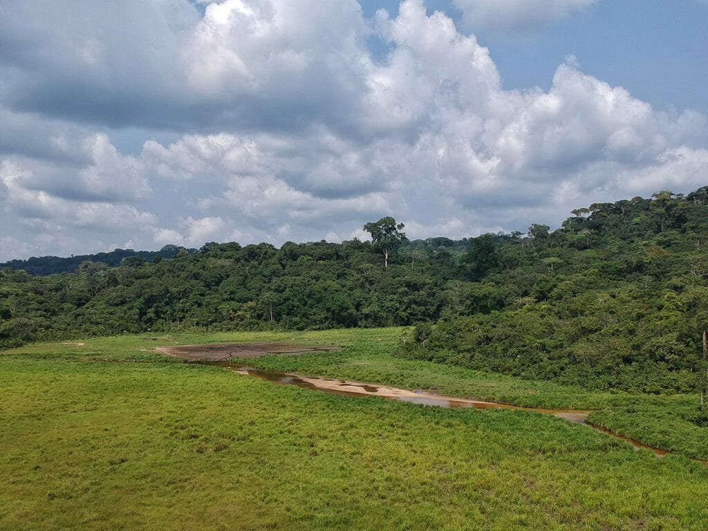 Langoue Bai from drone, Ivindo National Park, Gabon