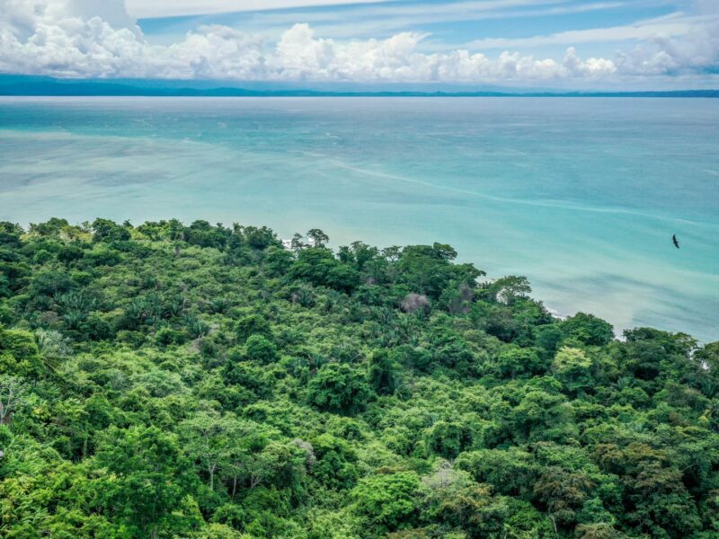 Lapa Rios Ecolodge, Osa Peninsula, Costa Rica