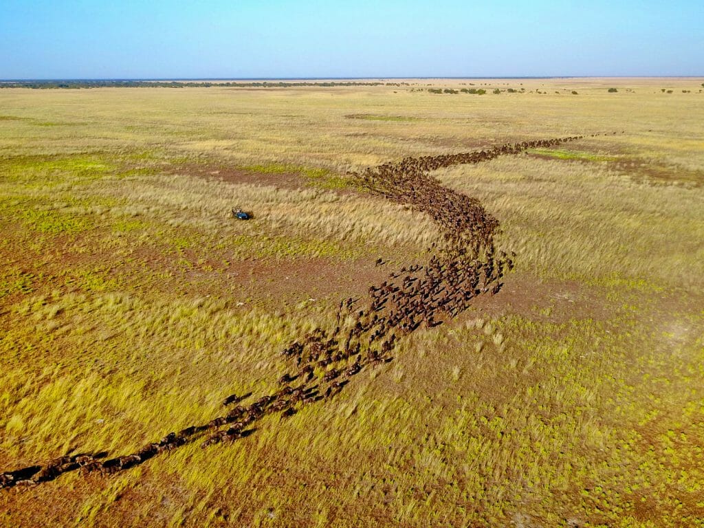 Liuwa Plains, Zambia