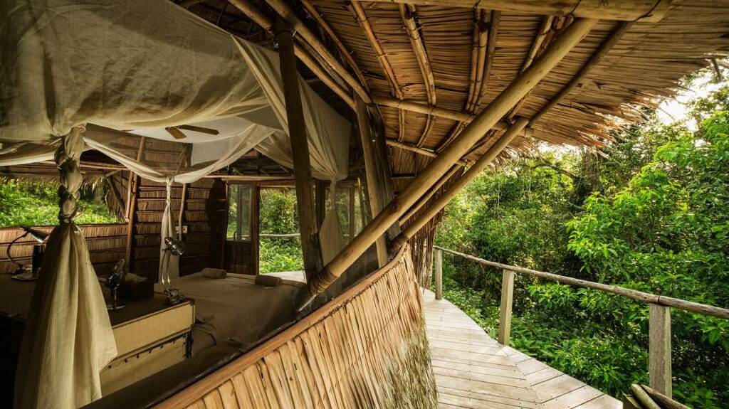 Ngaga Camp, Odzala National Park, Republic of Congo