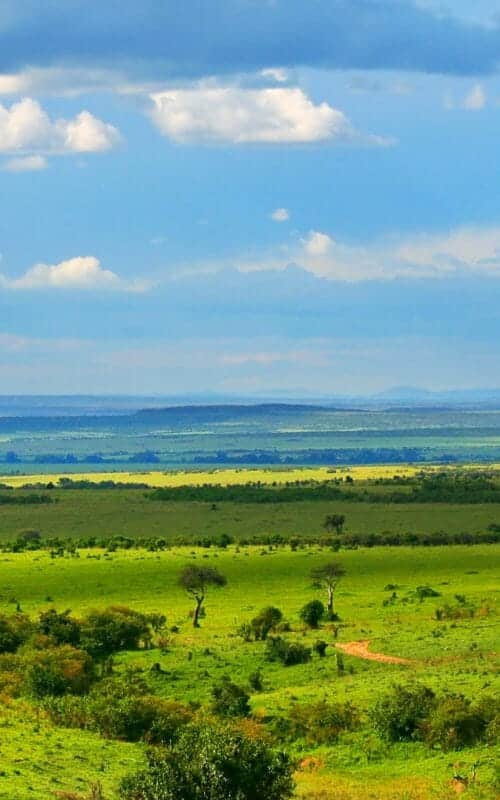 The Best Time to Visit Kenya When to go Steppes Travel