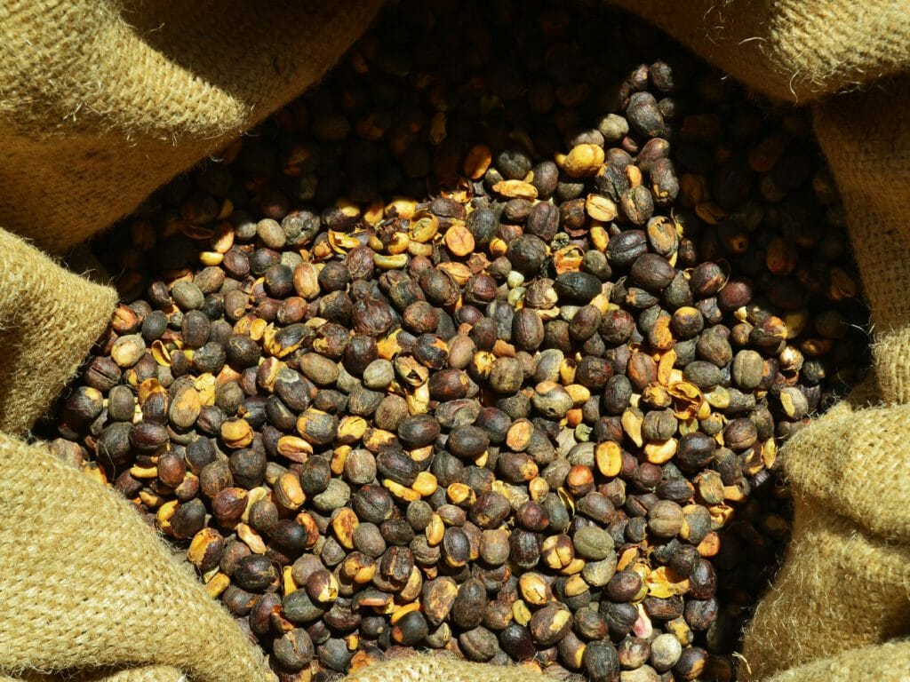 Coffee Beans, South America