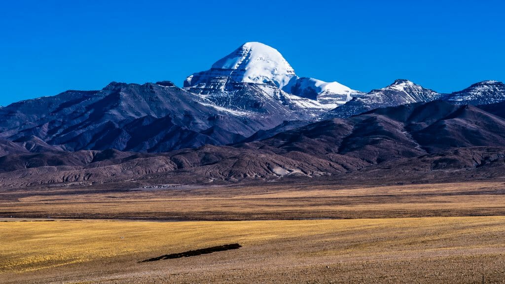 Snow capped Mount Kailash with yellow steppe grassland in the foreground