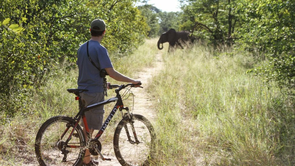 Mountain biking, Hwange, Zimbabwe