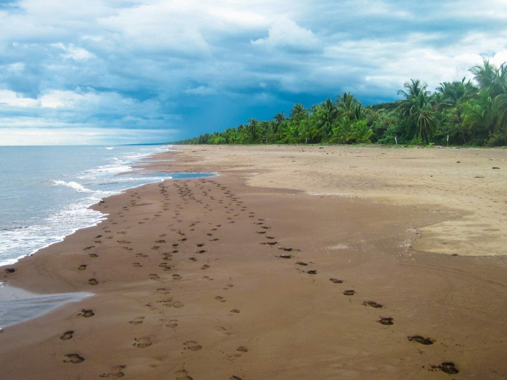 Tortuguero National Park, Costa Rica