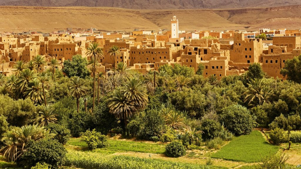old city surrounded by the palm and date trees in Ouarzazate ,Morocco