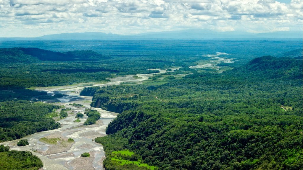 Pastaza River Basin, Amazon Rainforest
