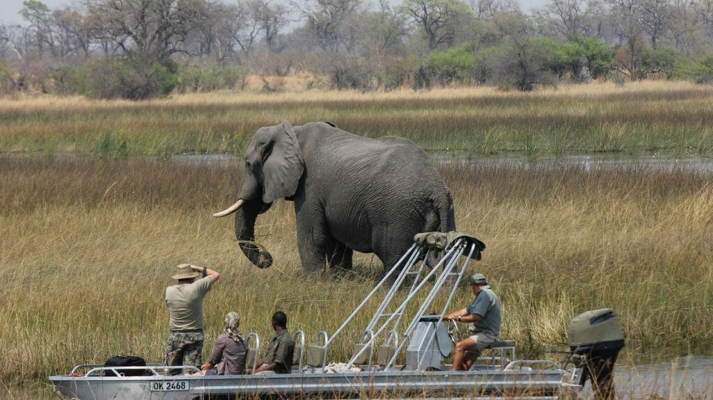 Photographing elephant from boat, Motswiri Camp, Selinda Reserve