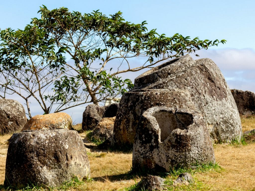 Ancient jar shaped rocks on a grass plain with tree in background.