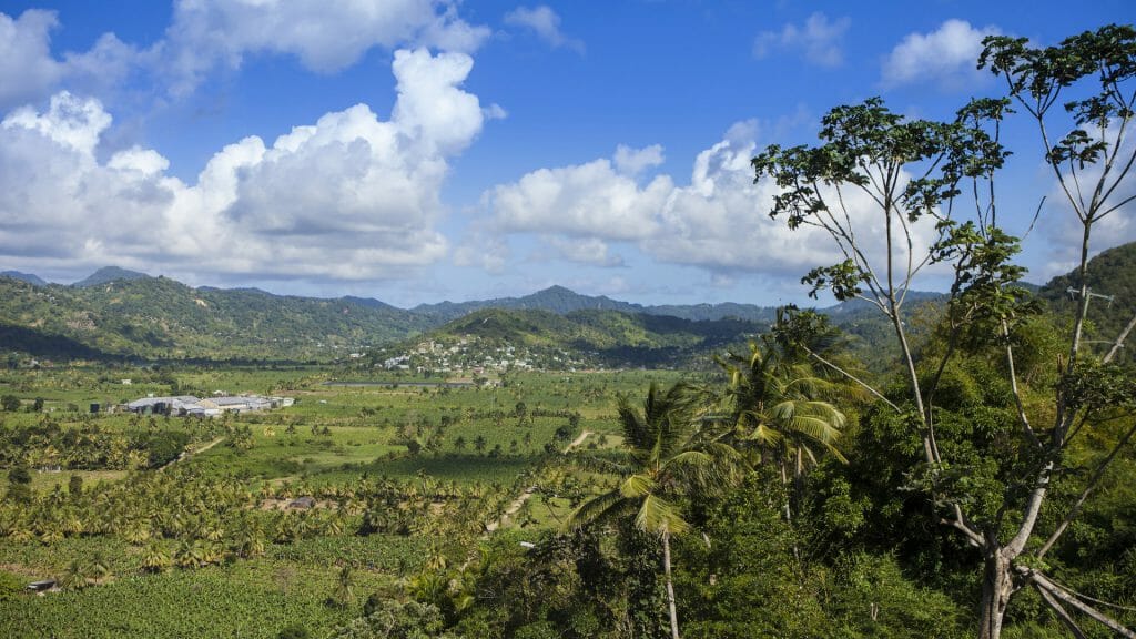 Aerial view of the plantations in Saint Lucia
