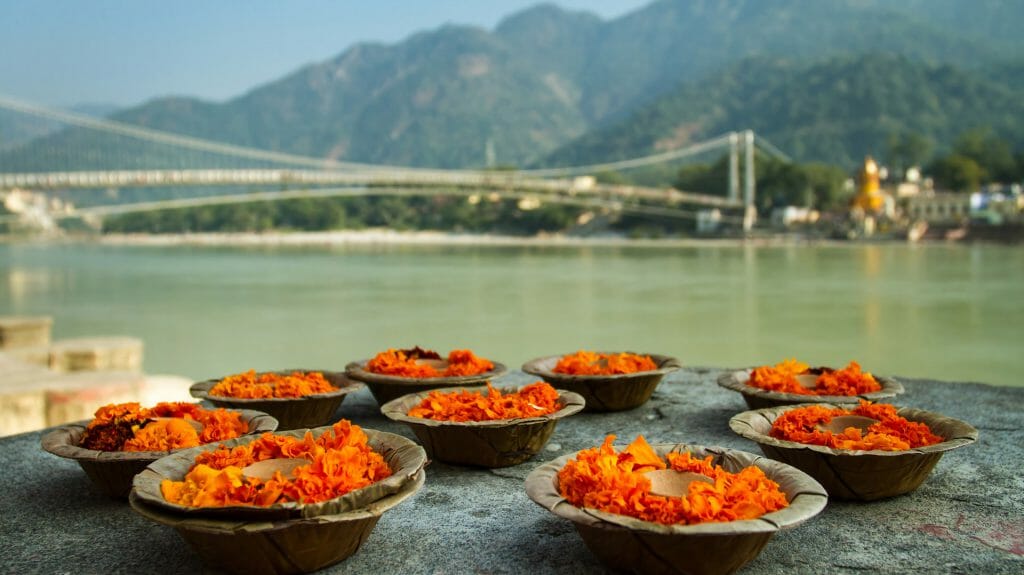 Puja Flowers, Ganges River, Rishikesh, India