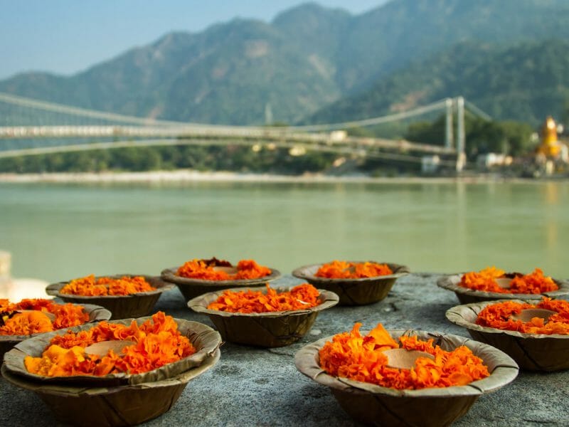 Puja Flowers, Ganges River, Rishikesh, India