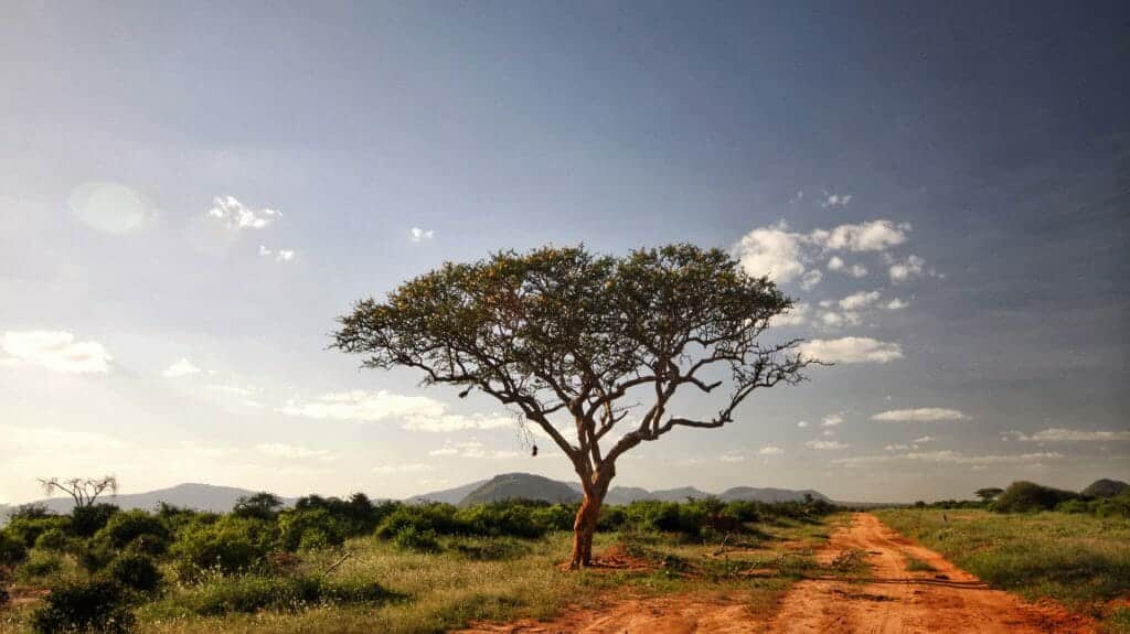 Red dirt road, Tsavo, Kenya