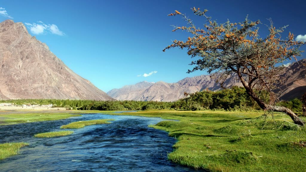 River, Nubra Valley, Ladakh