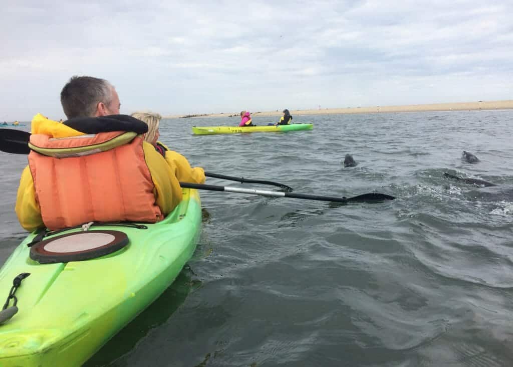 Seal Kayaking, Swakopmund, Namibia