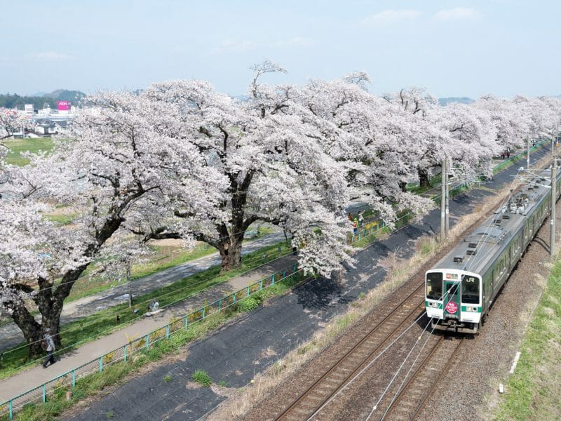 Sendai, Hokkaido, Japan