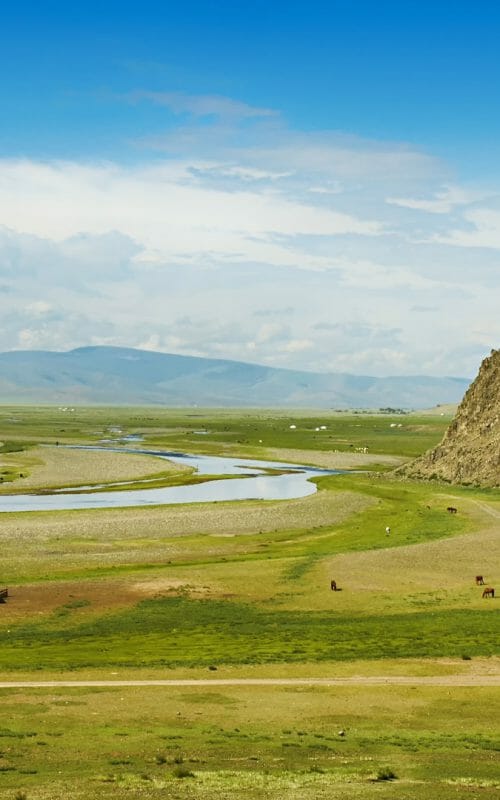 Steppes, Mongolia