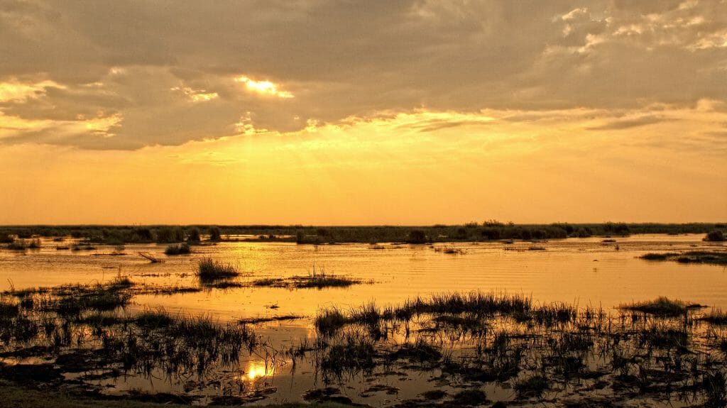 Sunset Across the Marsh, Linyanti Bush Camp, Kwando Linyanti, Botswana