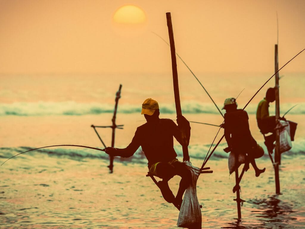 Traditional stilt fishermen, Near Galle, Sri Lanka