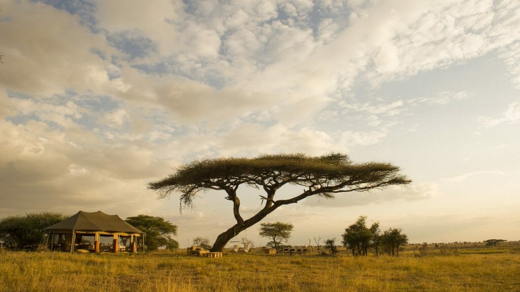Veiw towards rooms, Namiri Plains Camp, Serengeti National Park, Tanzania