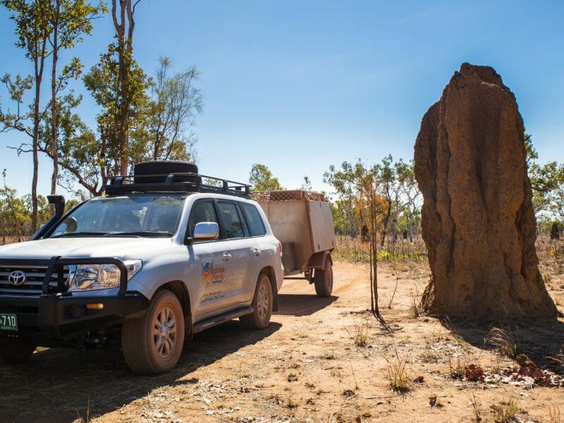 4WD vehicle parked next to a towering termite nest.