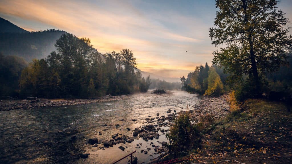 View from Wild Bear Lodge