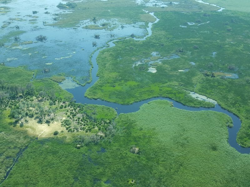 View from the air, Okavango Delta, Botswana