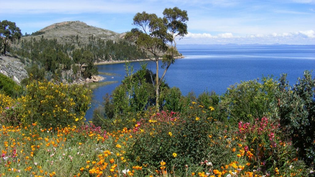 Lake Titicaca, Suasi Island, Peru
