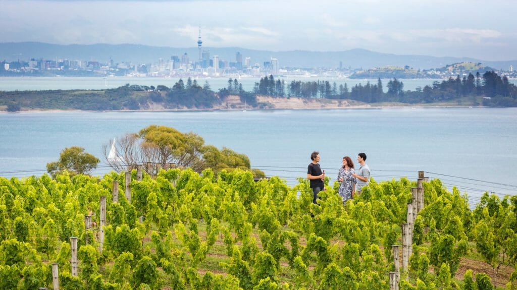 Waiheke Island, Auckland, New Zealand